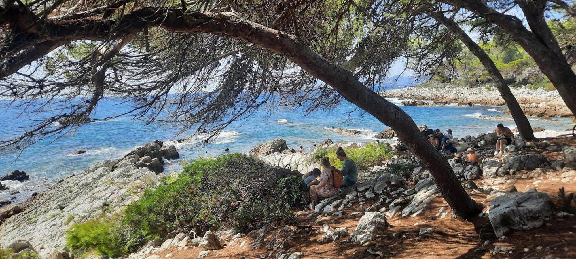 Studio Sun-Beach Avec Parking Et Jardin - 500M Des Plages De Juan Les Pins Antibes Ngoại thất bức ảnh